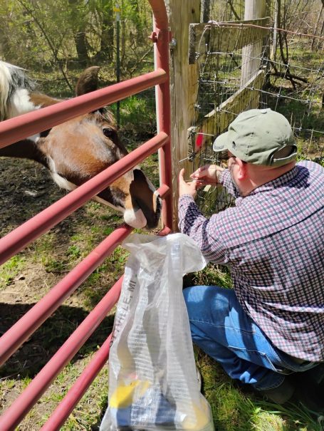 Elysha helping Nick fix the fence.