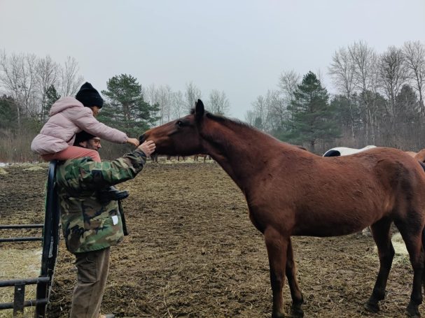 Nick and Gracie feeding Lucia man with granddaughter and horse